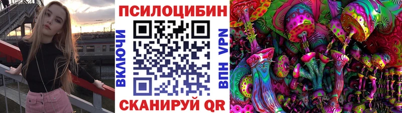 купить  цена  Анжеро-Судженск  Псилоцибиновые грибы прущие грибы 