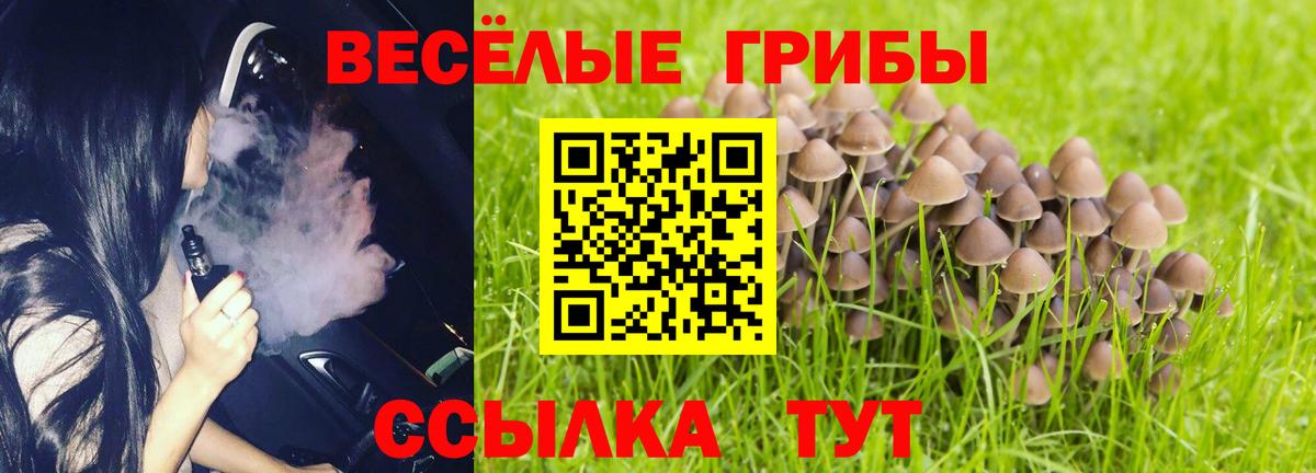 Галлюциногенные грибы Cubensis Анжеро-Судженск