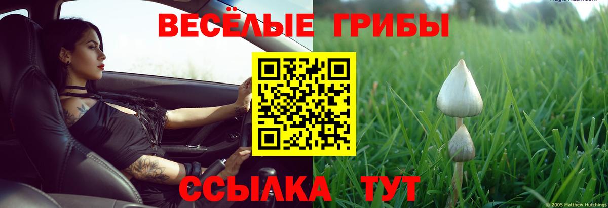 Галлюциногенные грибы MAGIC MUSHROOMS Анжеро-Судженск